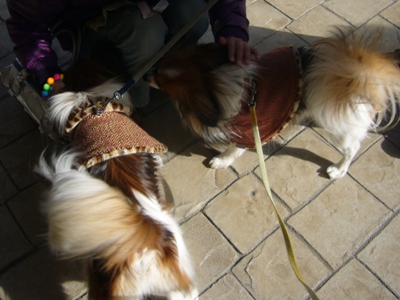 e0100046_2148797.jpg