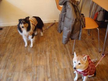 f0046854_21292012.jpg