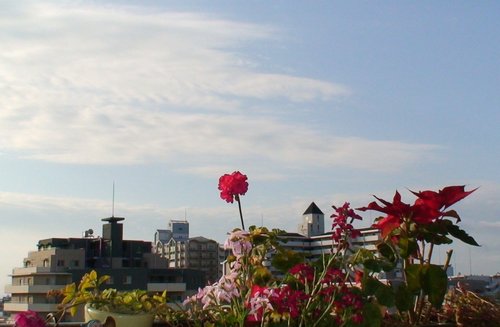d0083265_14511393.jpg
