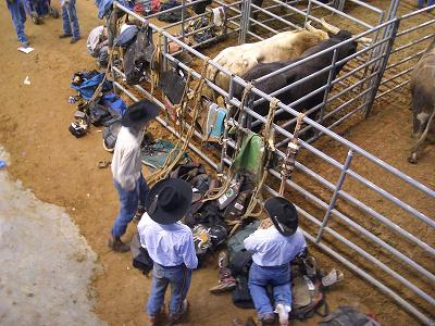 Bull Riding_e0122968_13215718.jpg