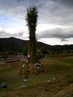 d0078271_2074043.jpg