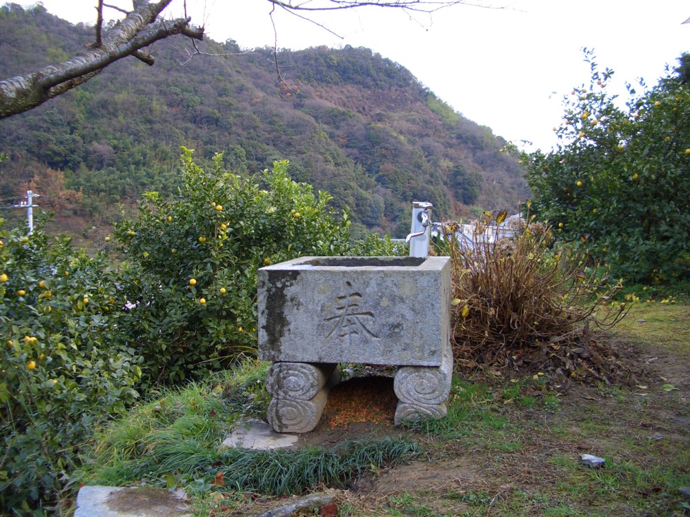e0039975_1385853.jpg