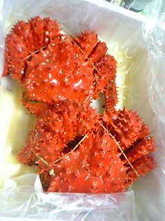 a0095980_16133083.jpg