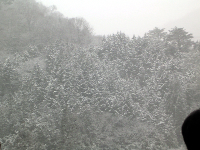 c0050380_19511349.jpg