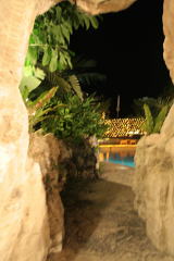 d0144092_1649834.jpg