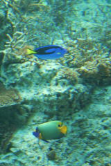 d0144092_18431444.jpg