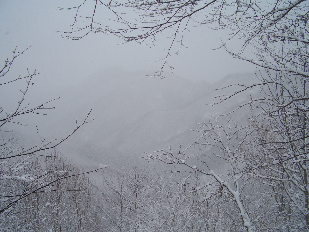 地吹雪ツアー_f0053392_20141920.jpg