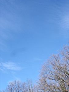 山の休日_f0106597_2245390.jpg