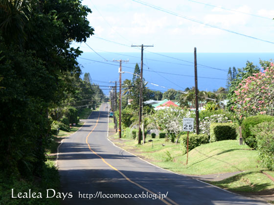 A long winding road・・？_b0000801_1025590.jpg