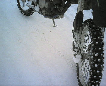 e0104702_1212592.jpg
