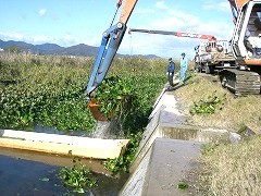 西の湖和船運行ルート整備　その２_e0093407_133212.jpg