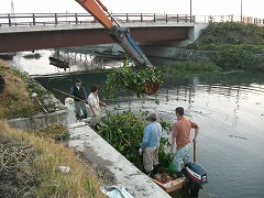 西の湖和船運行ルート整備　その２_e0093407_13372615.jpg