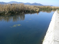 e0093407_13393372.jpg