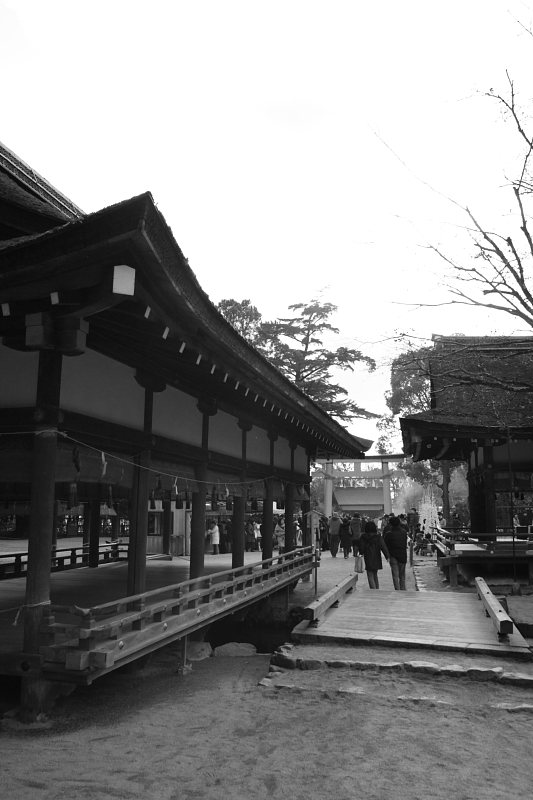 そうだ　京都、行こう：上賀茂神社 part4_f0130607_2217122.jpg