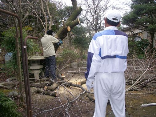 パパさん二人がんばるの巻_c0097309_20574447.jpg