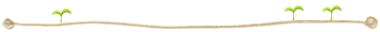 a0064213_2330487.gif