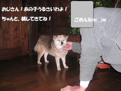 a0108115_15454551.jpg