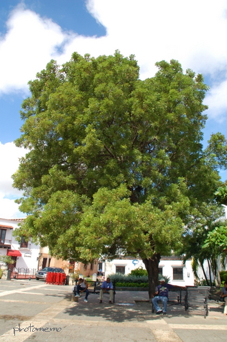 c0121215_3503711.jpg