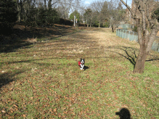 e0080117_2032186.gif