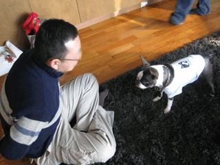 e0080117_20352653.gif