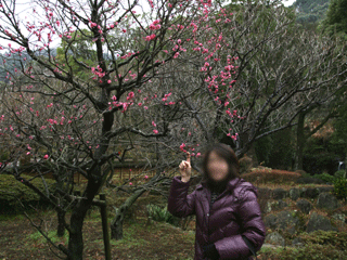 e0080117_2038830.gif