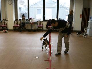 e0080117_20493298.gif