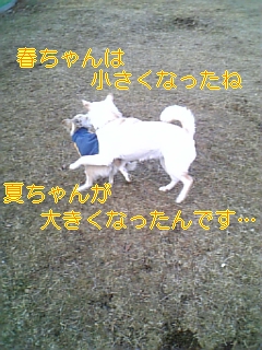 f0148927_18462616.jpg