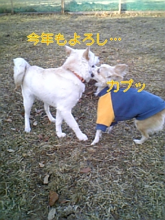 f0148927_18472325.jpg