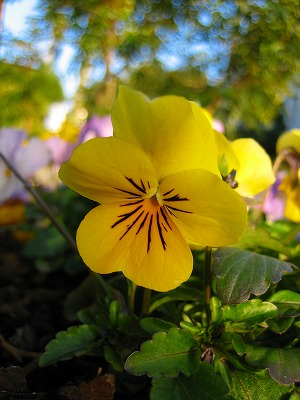 時にはミニ写真講座_b0100229_16451338.jpg
