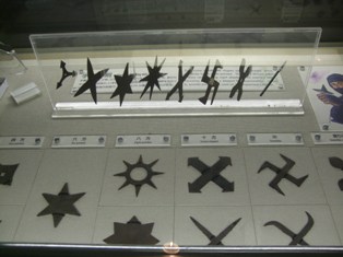 忍者から始まって・・・。正月歴史探訪 その壱_d0101430_1635656.jpg