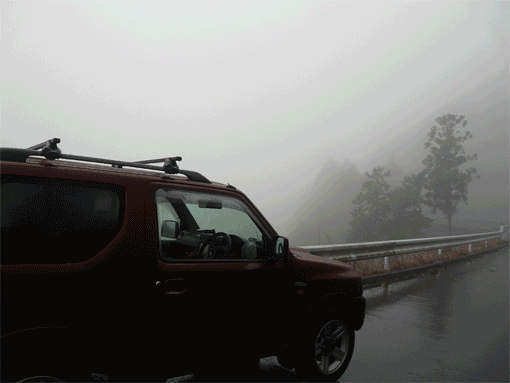 a0056140_22123790.gif