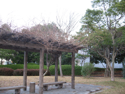 e0110940_2148635.jpg