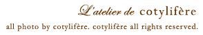 cotylifere作品展を開催します！_e0073946_15231626.gif
