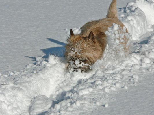 c0147548_21241646.gif