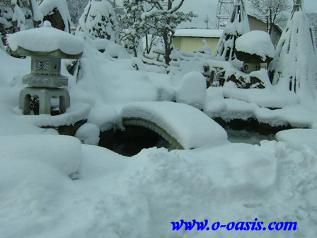 雪・雪・過去!?_d0141049_23452445.jpg