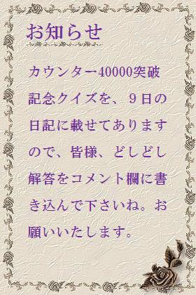 再び_c0049950_2317257.jpg