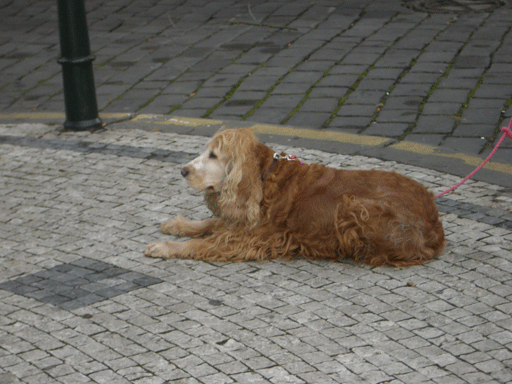 f0077150_17365488.gif