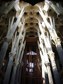 d0054855_14301480.jpg