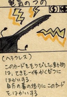 自家製カードゲーム_a0087957_5323527.jpg