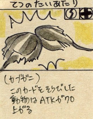 自家製カードゲーム_a0087957_5325737.jpg
