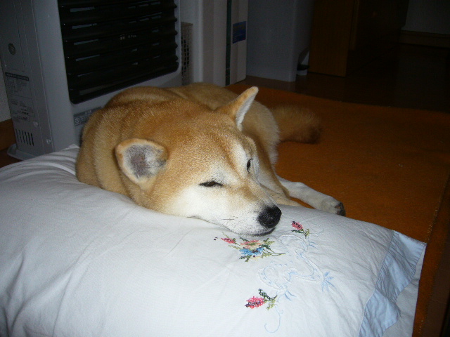 1月14日(月)成人式と氷点下!_f0060461_15193892.jpg
