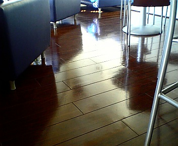b0001280_16403282.jpg