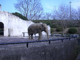 動物園_f0118290_11513893.jpg