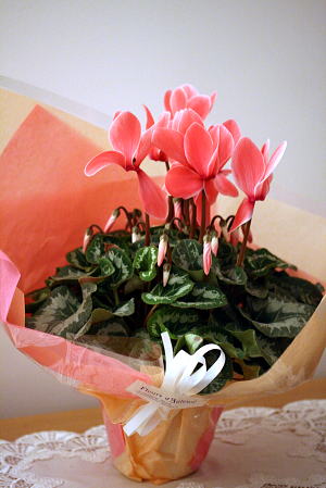 c0090198_740595.jpg