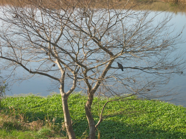 f0143299_15305135.jpg