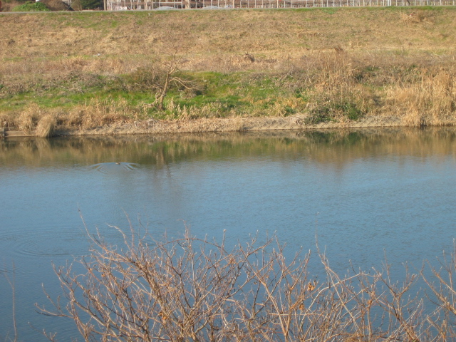 f0143299_15323043.jpg
