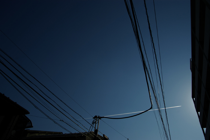 c0120903_19553186.jpg