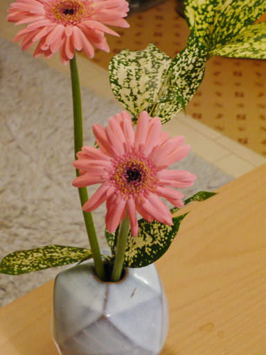e0049811_223777.jpg