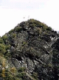 f0037623_21251640.jpg