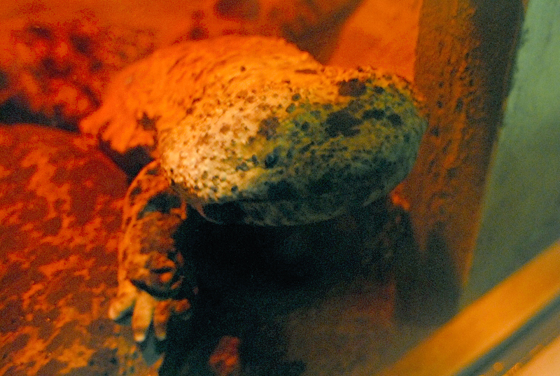 b0018524_2393581.jpg